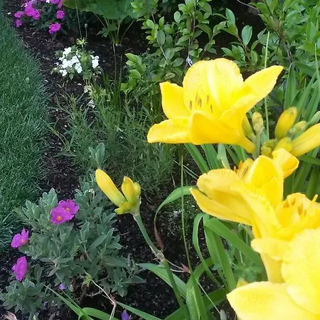 Giardino Sospeso مزرعة للإقامة *